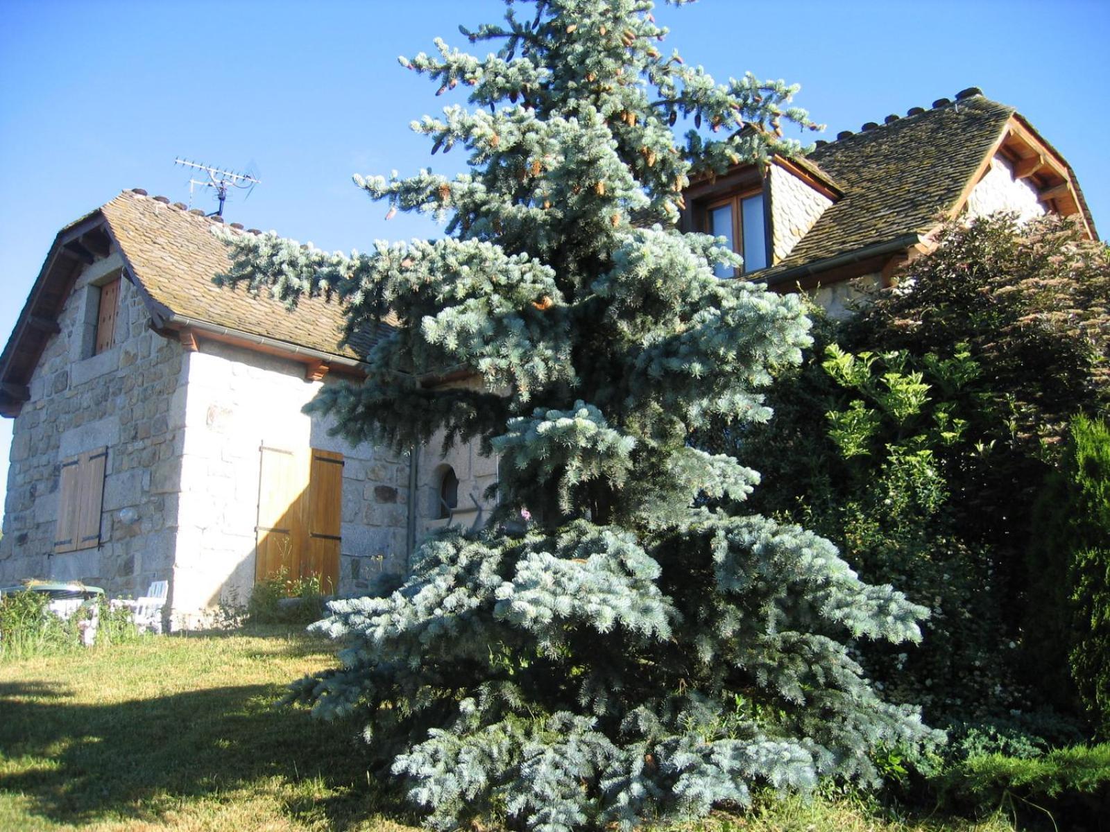 Lozere Aubrac Margeride Promo Leilighet Saint-Alban-sur-Limagnole Eksteriør bilde