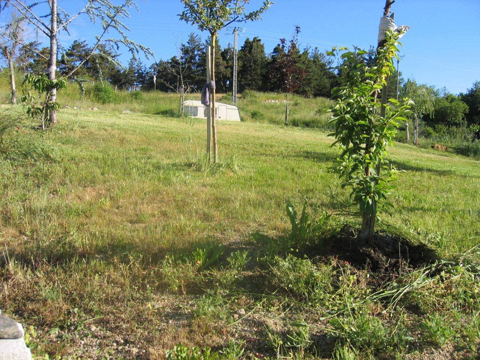 Lozere Aubrac Margeride Promo Leilighet Saint-Alban-sur-Limagnole Eksteriør bilde