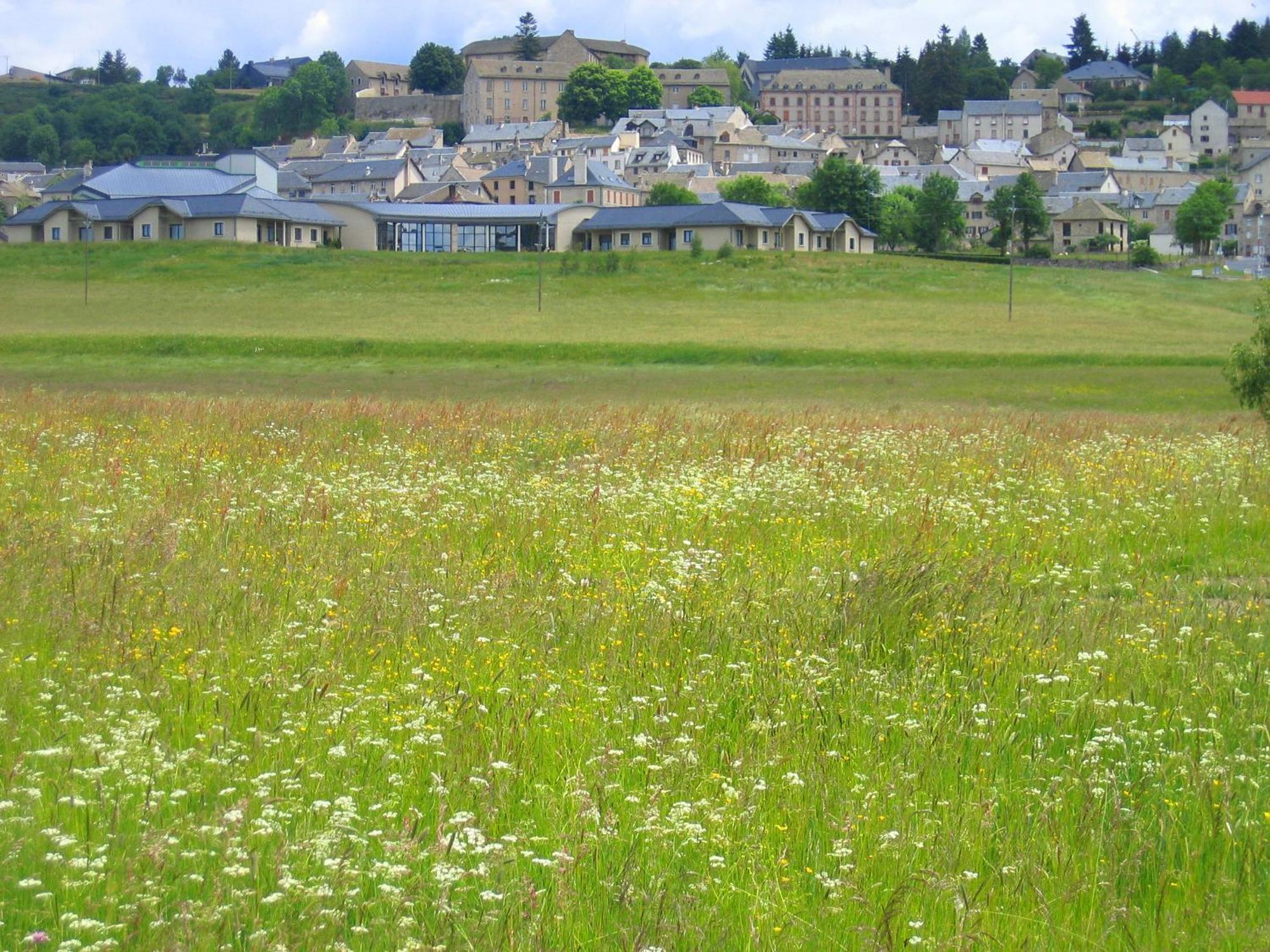 Lozere Aubrac Margeride Promo Leilighet Saint-Alban-sur-Limagnole Eksteriør bilde